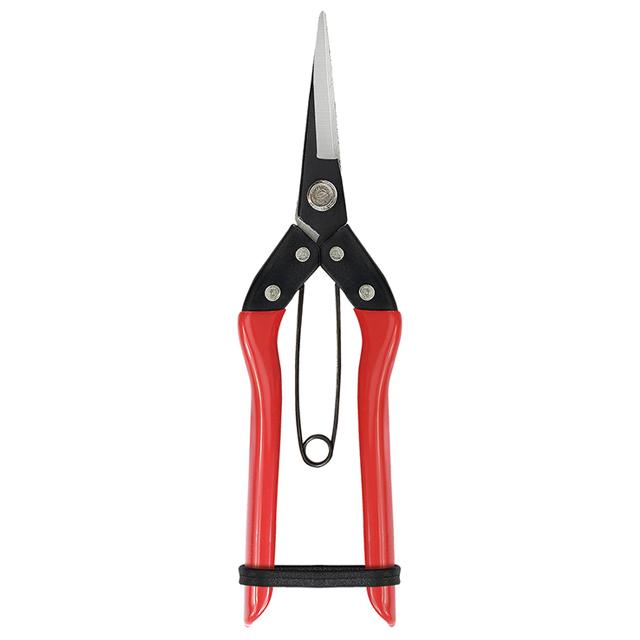 Thin fruit scissors SS406