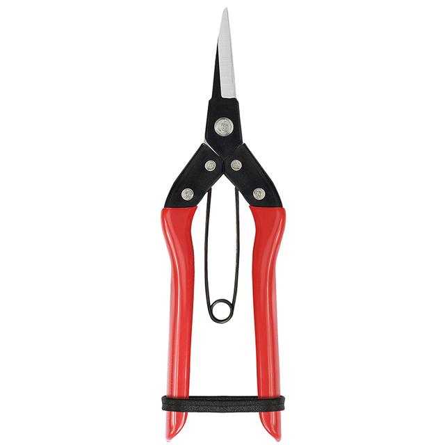 Thin fruit scissors SS415